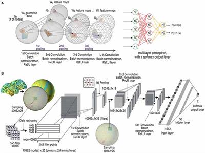 Geometric Convolutional Neural Network for Analyzing Surface-Based Neuroimaging Data